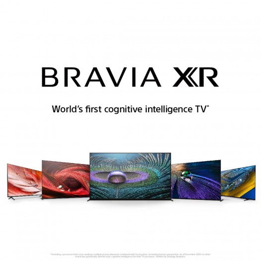 Sonys Bravia-Fernseher (Bild: Sony)
